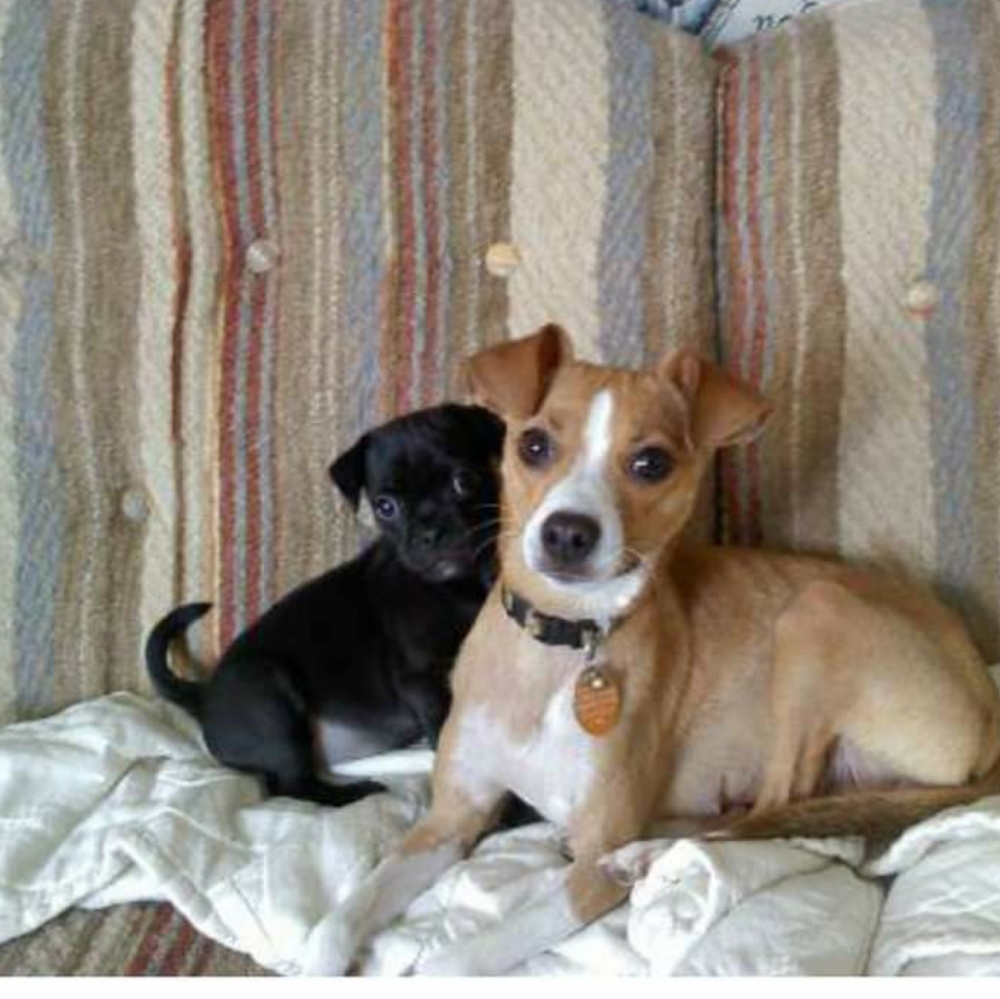 I am mainly a buyer. , Melissa